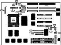 EVEREX SYSTEMS, INC.   STEP SP/PRO
