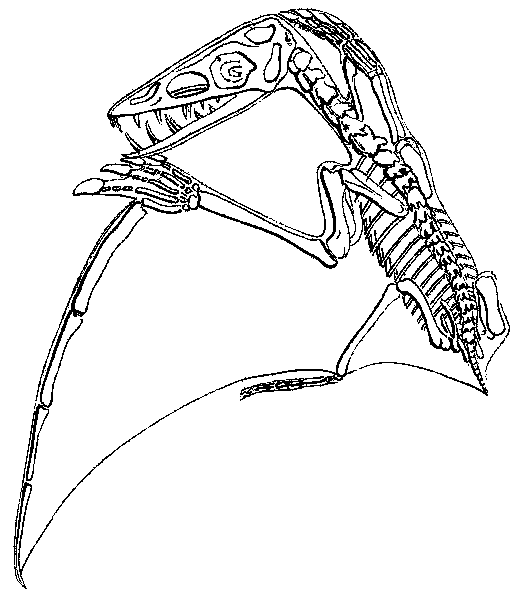 Pterodactylus