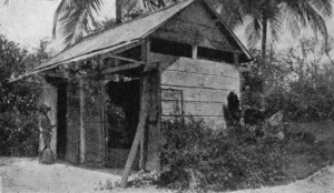 "SWEATING" BOXES, TRINIDAD.
The man is holding the wooden spade used for turning the beans.