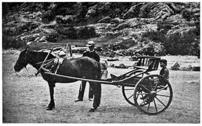 NORWEGIAN CARRIAGE CALLED STOLKJAEM.