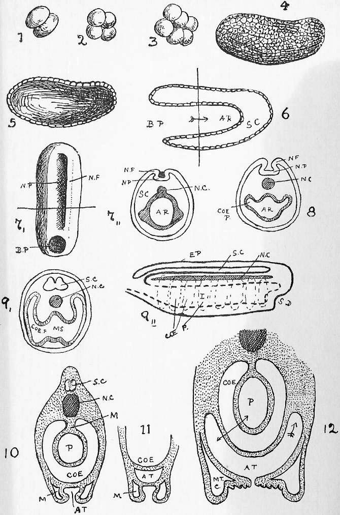 Sheet 21, 2nd