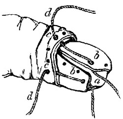 Fig. xxxvii.