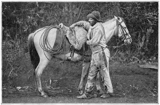 Een gaucho, herder, uit het binnenland.