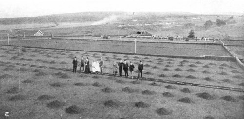 Drying Grounds on Fazenda Schmidt, the Largest in Brazil