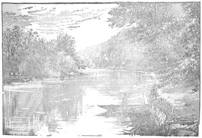 River scene