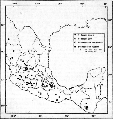 Fig. 1. México and Guatemala showing the distribution of the subspecies
of Pituophis deppei and P. lineaticollis.