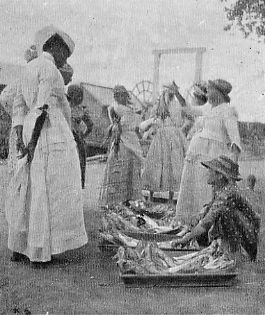 NEGRESS FISH-SELLERS, GUIANA.