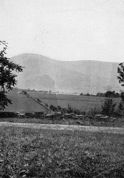 THE OLD STONE WALL IN FRONT OF THE BURROUGHS HOME,
BUILT BY DEACON SCUDDER. THE CATSKILLS
DIMLY SHOW IN THE DISTANCE