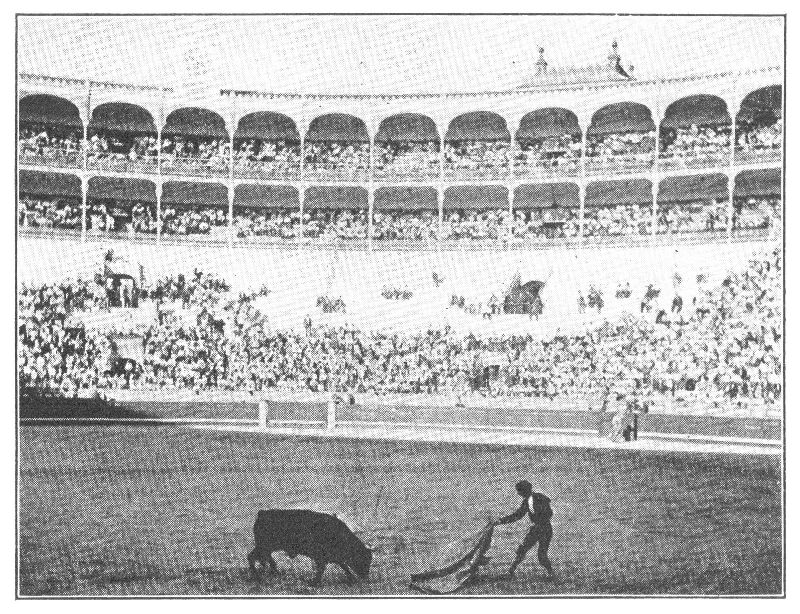 BULLFIGHT, MADRID