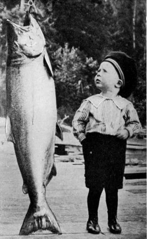 small boy standing next to hung fish that is taller than he is