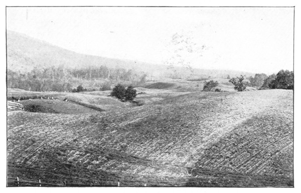 Fig. 33. A view over the hummocky surface of a part of the moraine of the great
American ice sheet in Central New York.