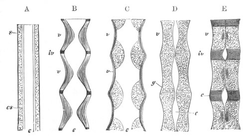 Illustration: Figure 320