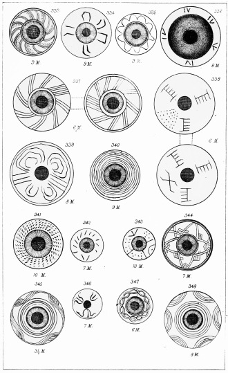 SPECIMENS OF WHORLS, &c. DUG UP AT TROY