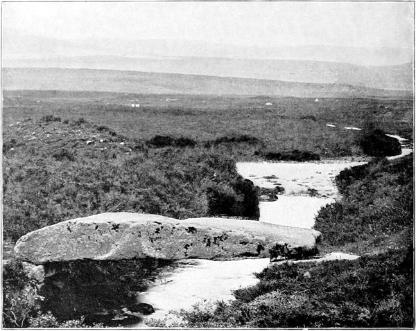 “Clam” Bridge