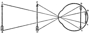 DIAGRAM SHOWING HOW DISTANCE AFFECTS THE SIZE OF THE
IMAGE