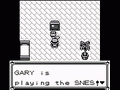 Pokémon Blue Version