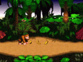 Donkey Kong Country